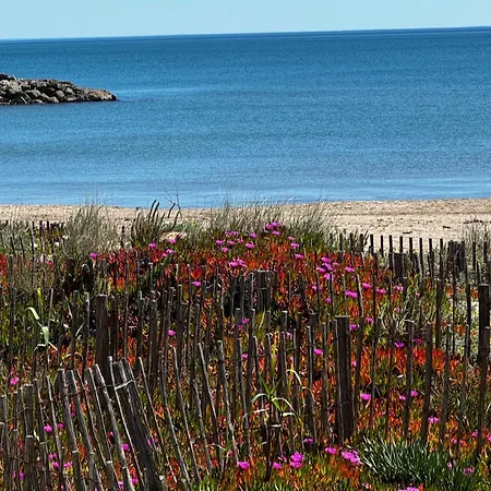 De L'oyat * Valras-Plage