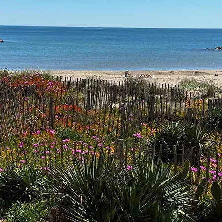 Apartament De L'oyat Valras-Plage